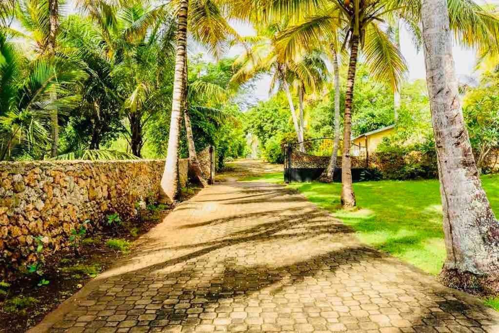 PALM HOUSE - LUXURY VILLA - SAMANÁ - Ocean Front Sánchez Exterior foto